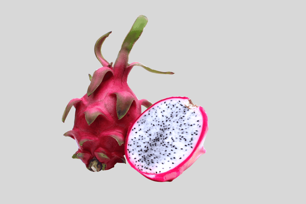 dragon fruit vishal nursery